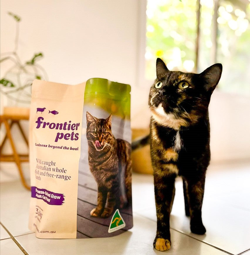 Cat food now available in trial pack size