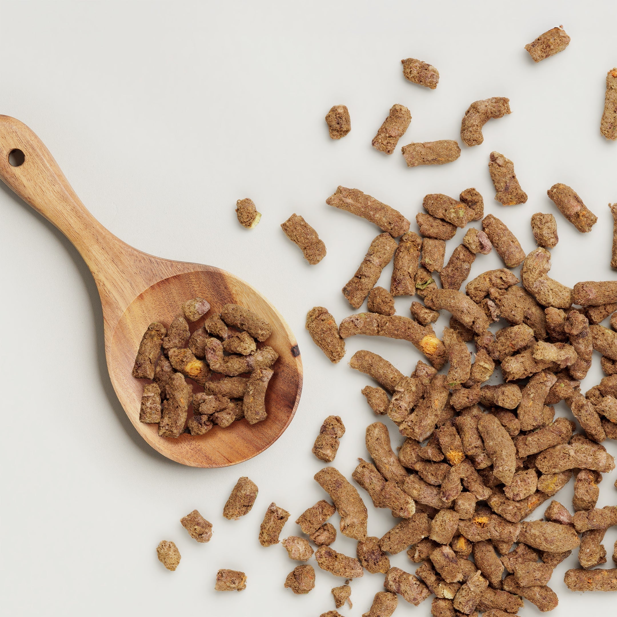 Why Kangaroo Makes Great Freeze-Dried Dog Food