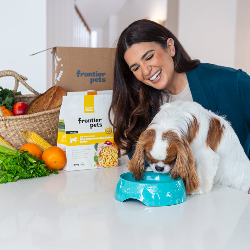 Premium Freeze-Dried Dog Food