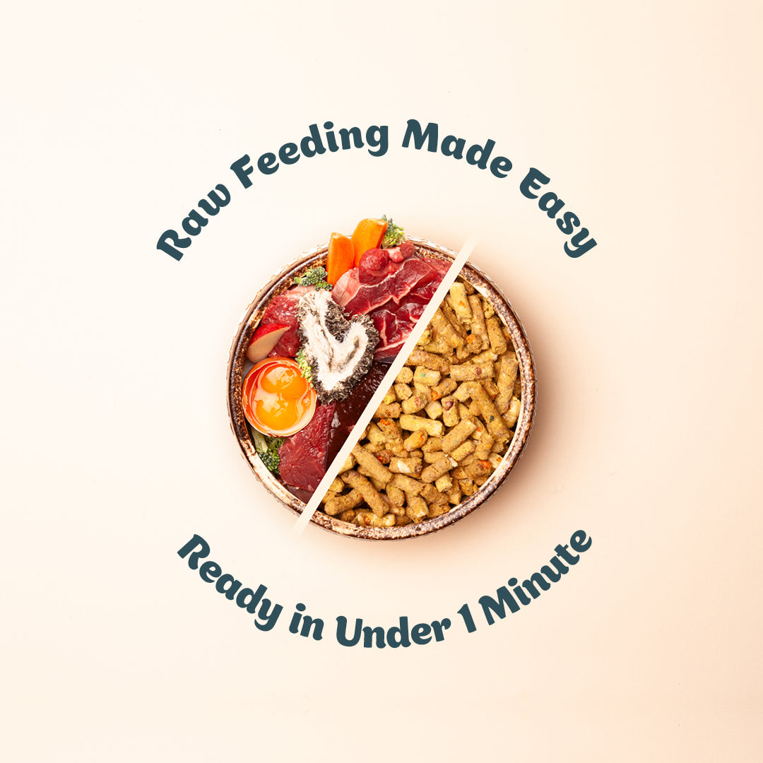 Free-Range Beef Cat Food
