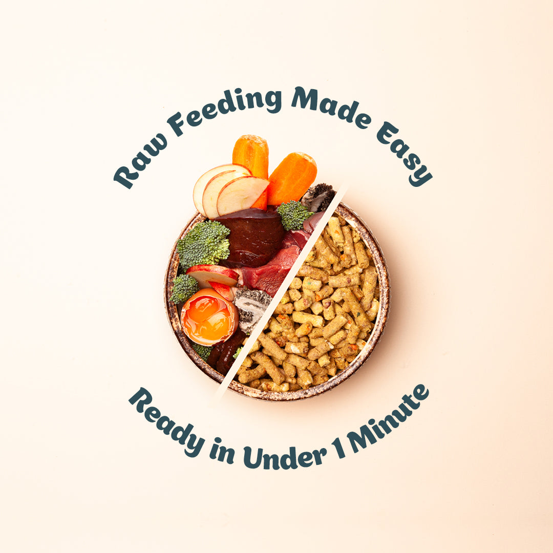 Free-Range Beef | Raw Freeze-Dried Dog Food 300g