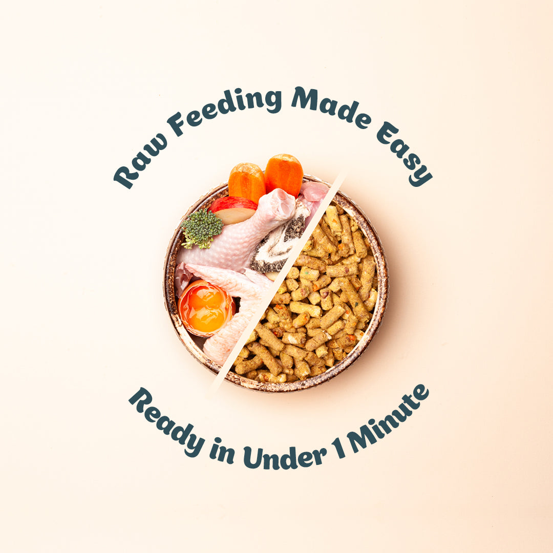 Free-Range Chicken | Raw Freeze-Dried Dog Food 2.5kg