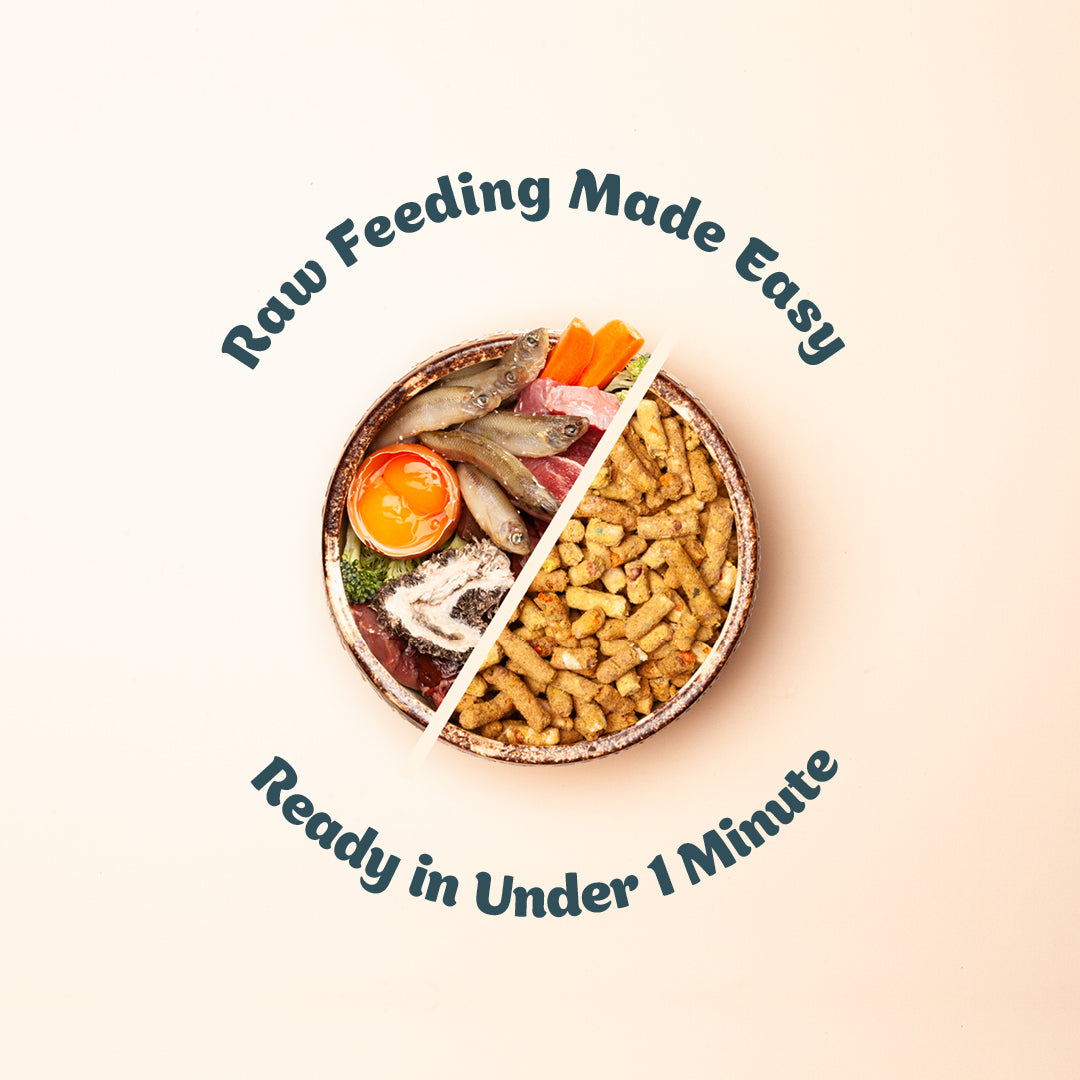 Raw Food For Cat