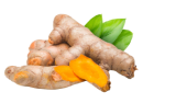 Organic Tumeric for pets