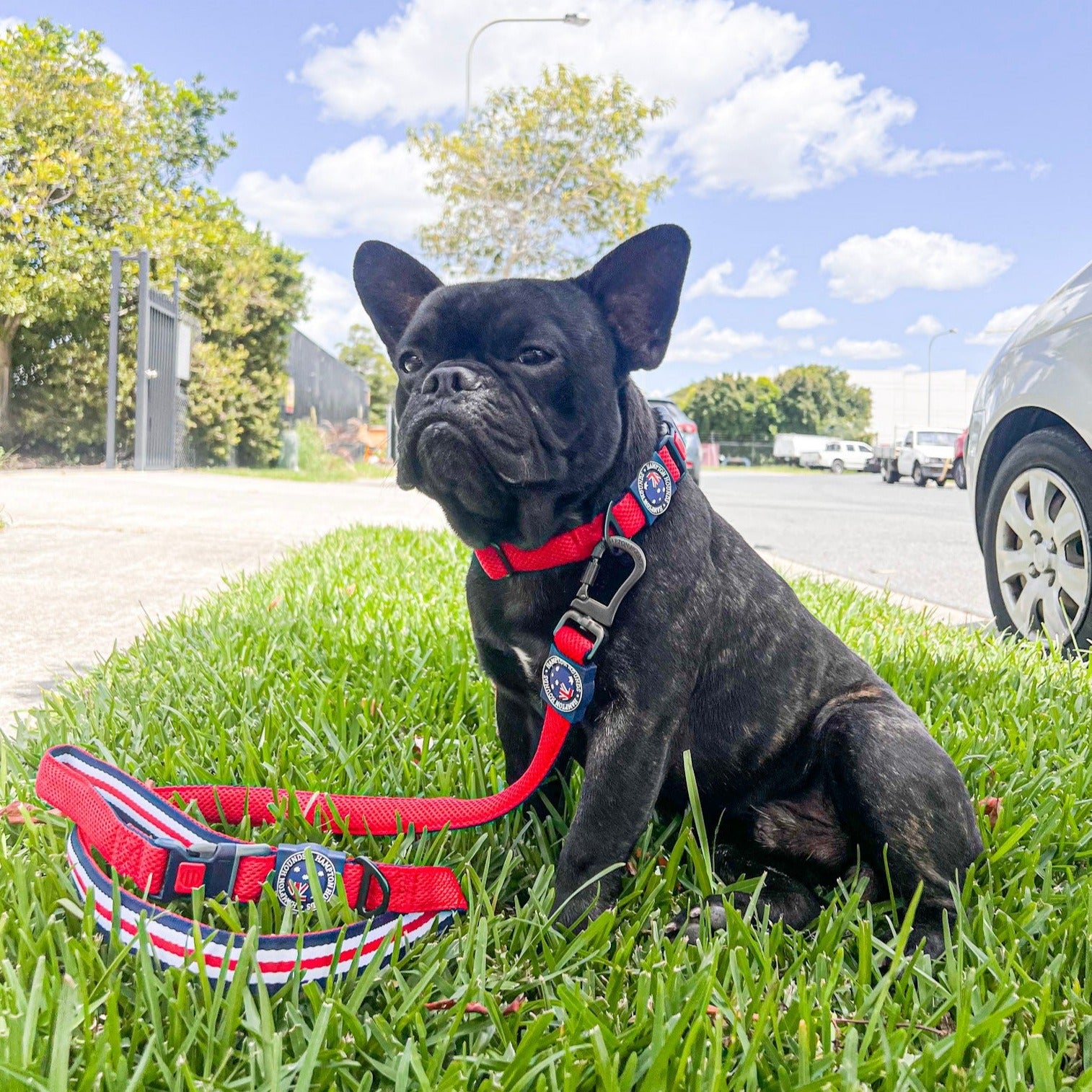 Frontier Pets Mesh Dog Collar - Made from recycled plastic bottles