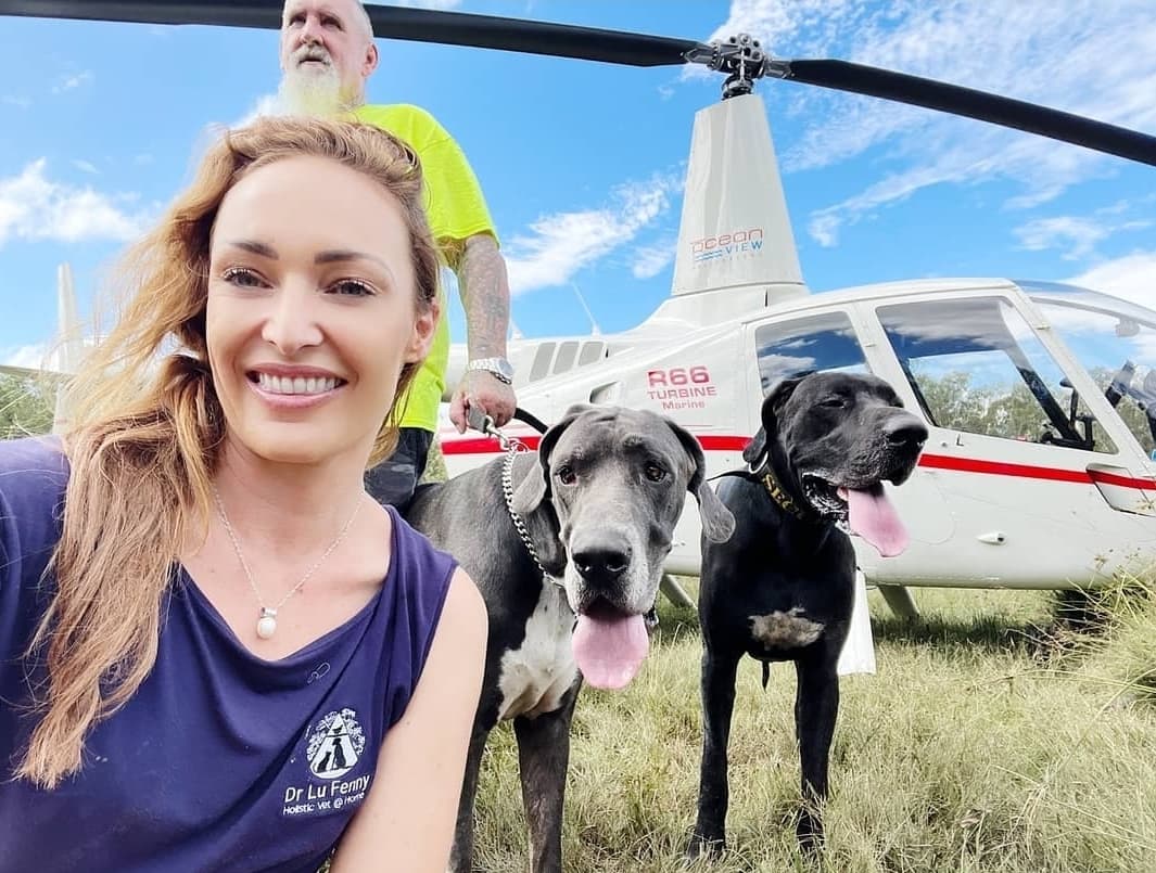 MISSION TO SAVE 2 GREAT DANE'S WITH DR. LU FENNY