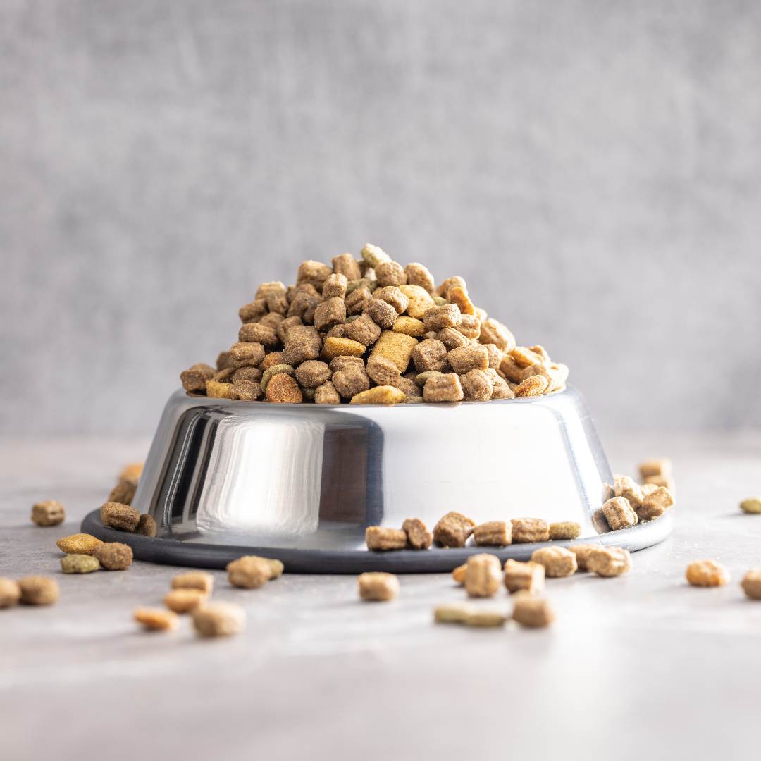 Is Freeze-Dried Dog Food Better Than Kibble and Air-Dried?