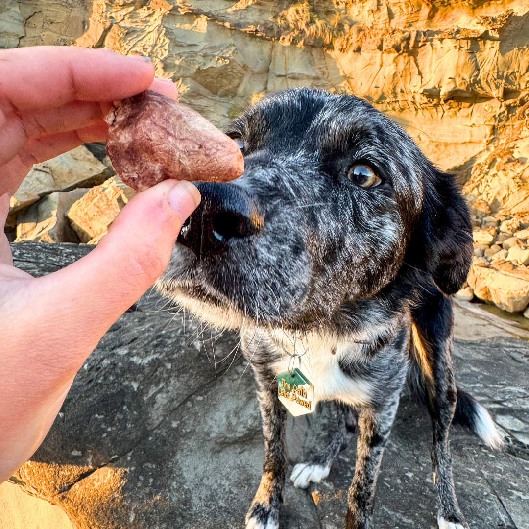 Raw Dog Treats: A Deliciously Nutritious Option for Your Dog