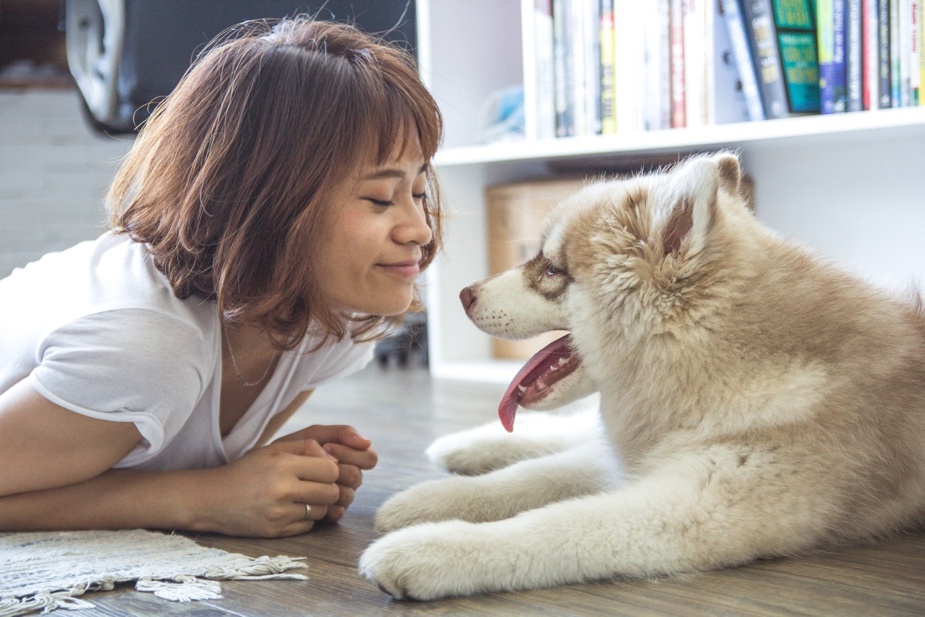 Five Reasons to leave your dog with a pet sitter