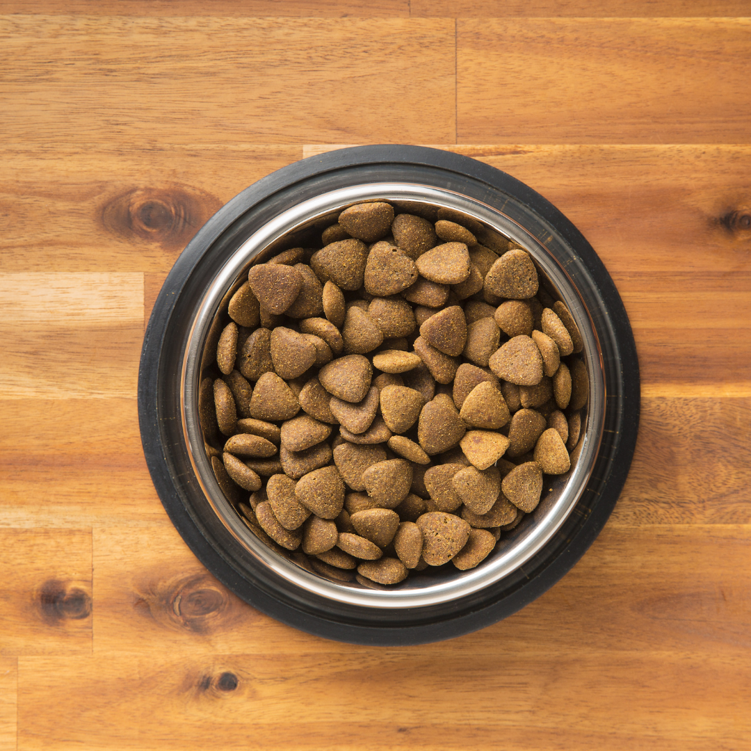 How is Kibble (Dry Food) Made?