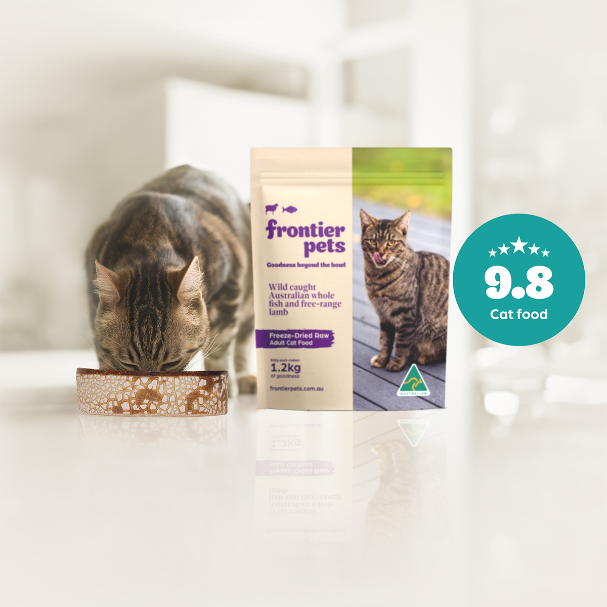 Frontier cat food online