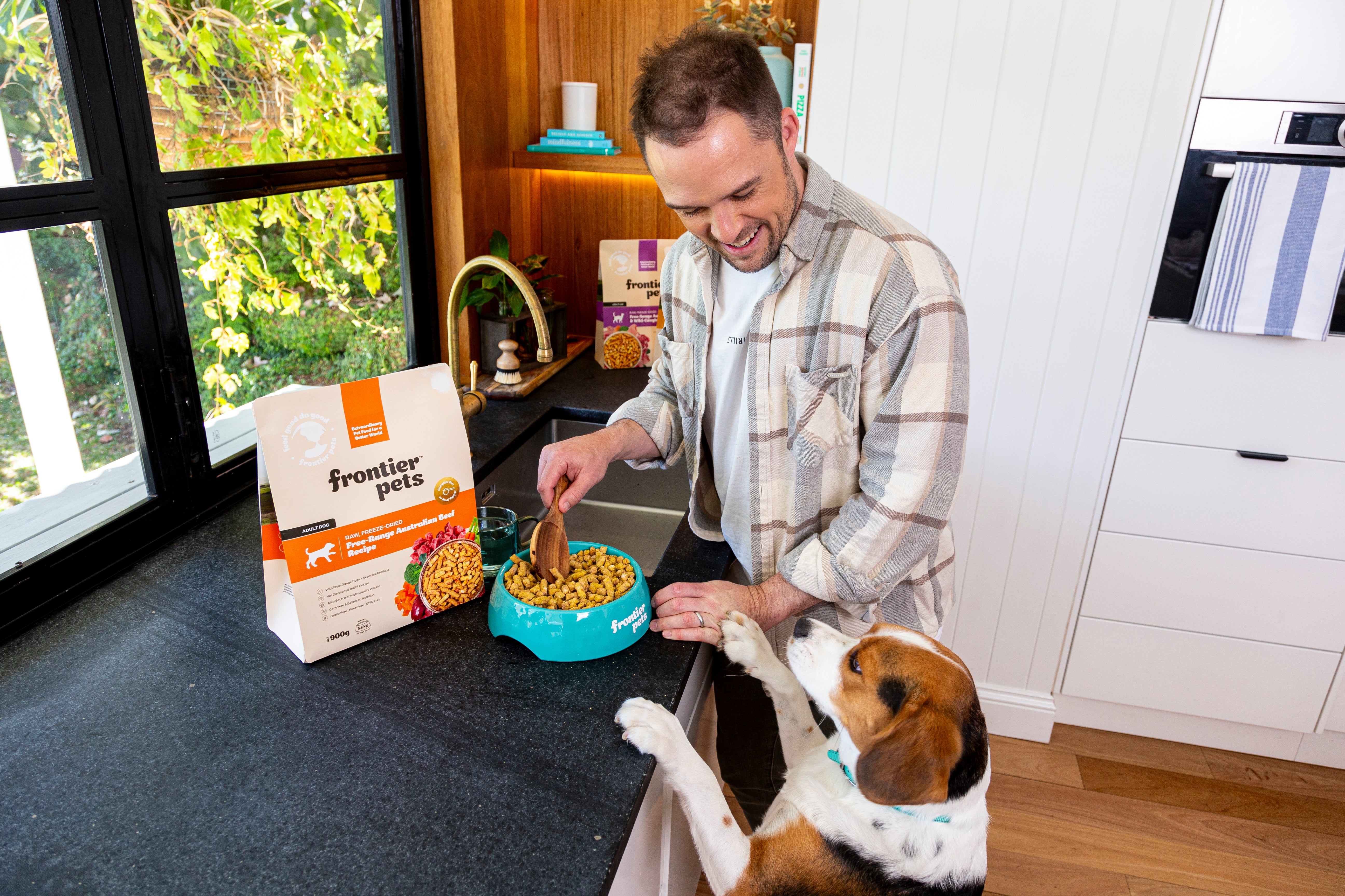 Man pouring food into bowl and beagle dog jump up on the counter