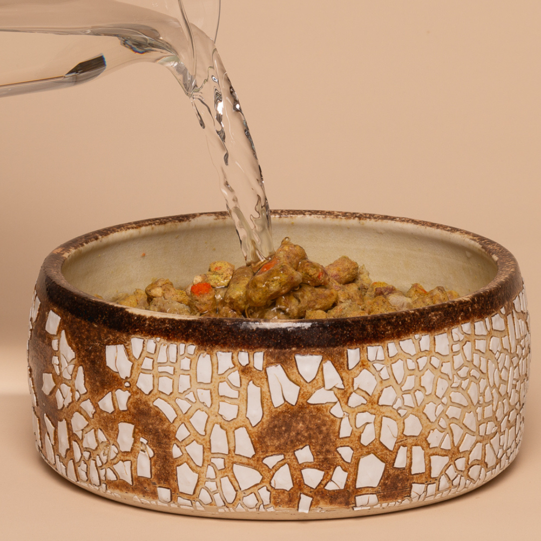 SMALL PACK COMBO Free Range Beef Pork Chicken Raw Freeze Dried Adult Dog Food