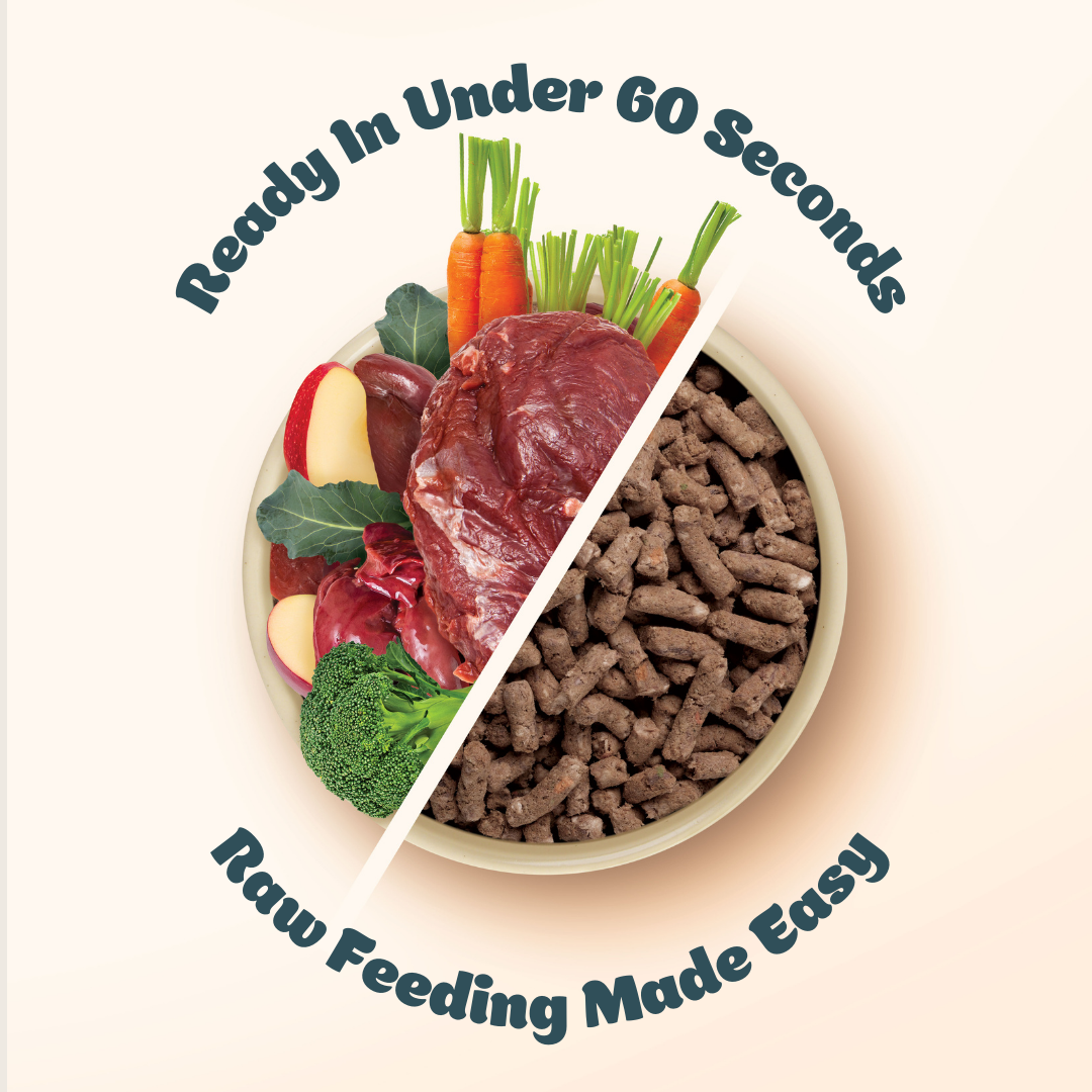 Australian Kangaroo I Raw Freeze-Dried Adult Dog Food