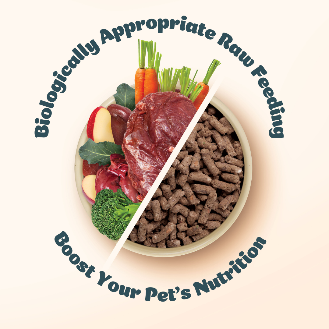 Australian Kangaroo I Raw Freeze-Dried Adult Dog Food