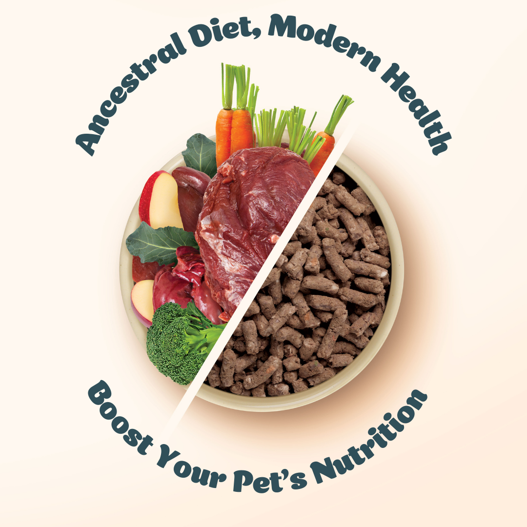 Australian Kangaroo I Raw Freeze-Dried Adult Dog Food